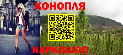 гашик Вязьма